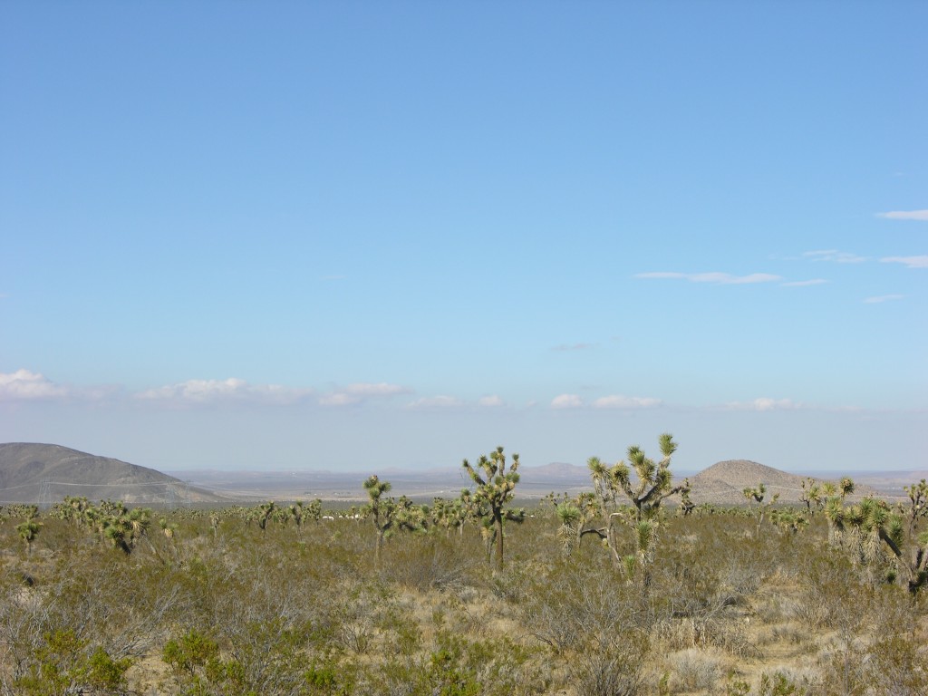 dscn2749.jpg