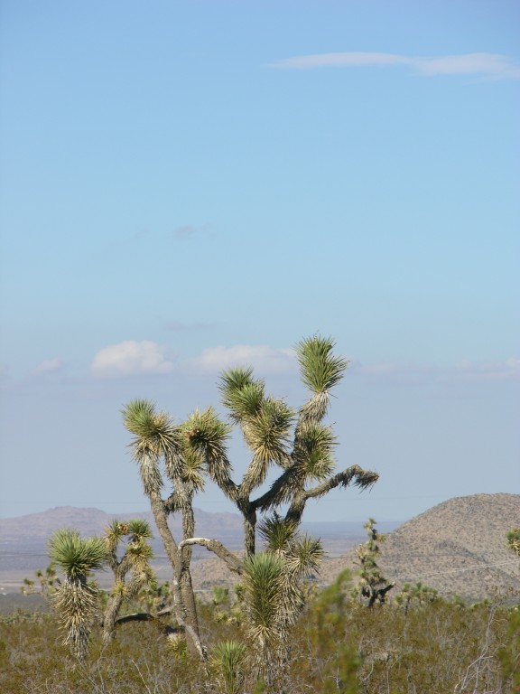dscn2751.jpg