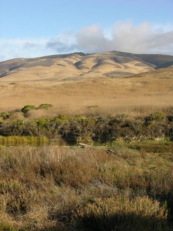 dscn2754.jpg
