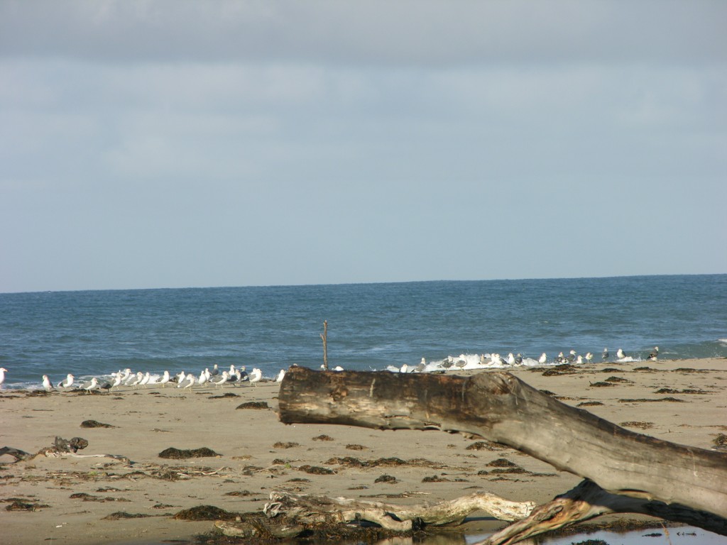 dscn2755.jpg