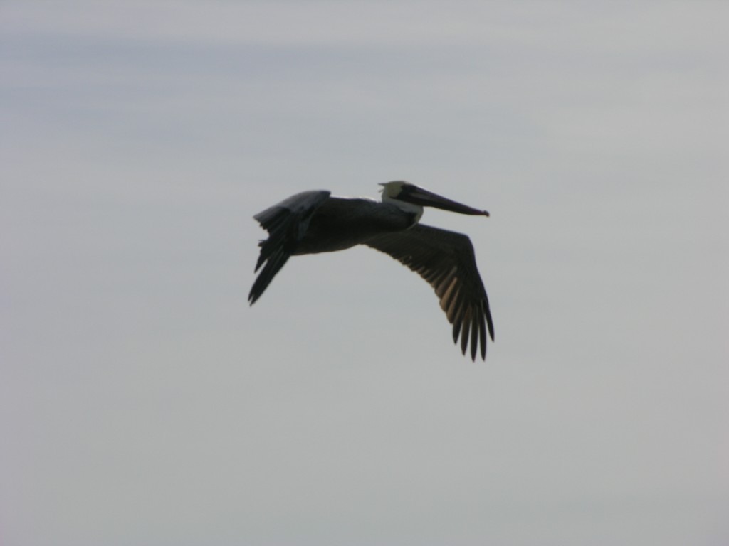 dscn2757.jpg