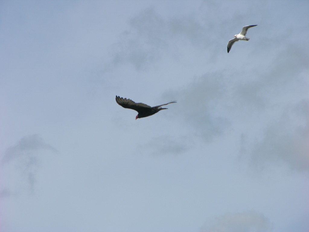 dscn2760.jpg
