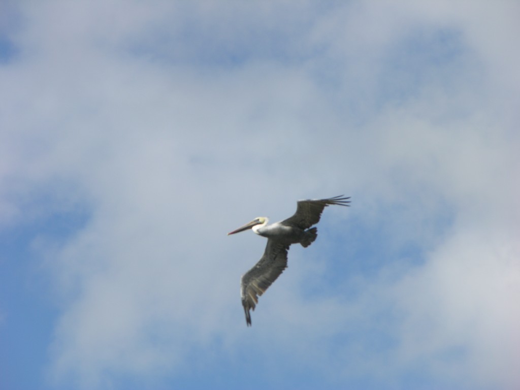 dscn2761.jpg