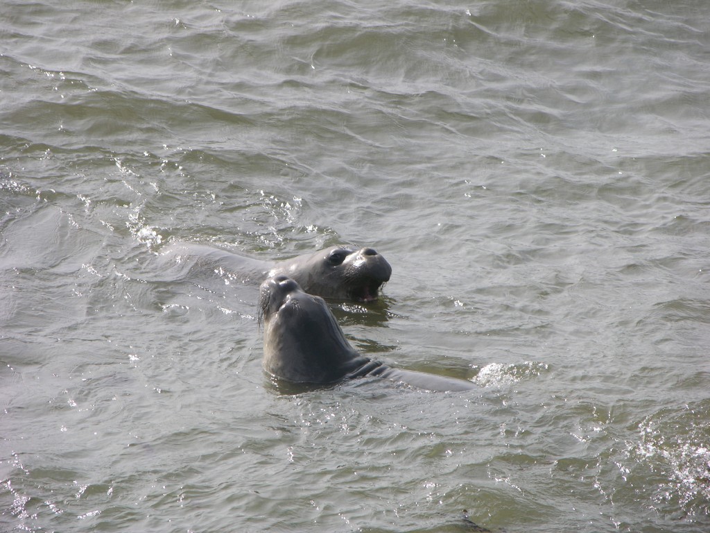 dscn2780.jpg