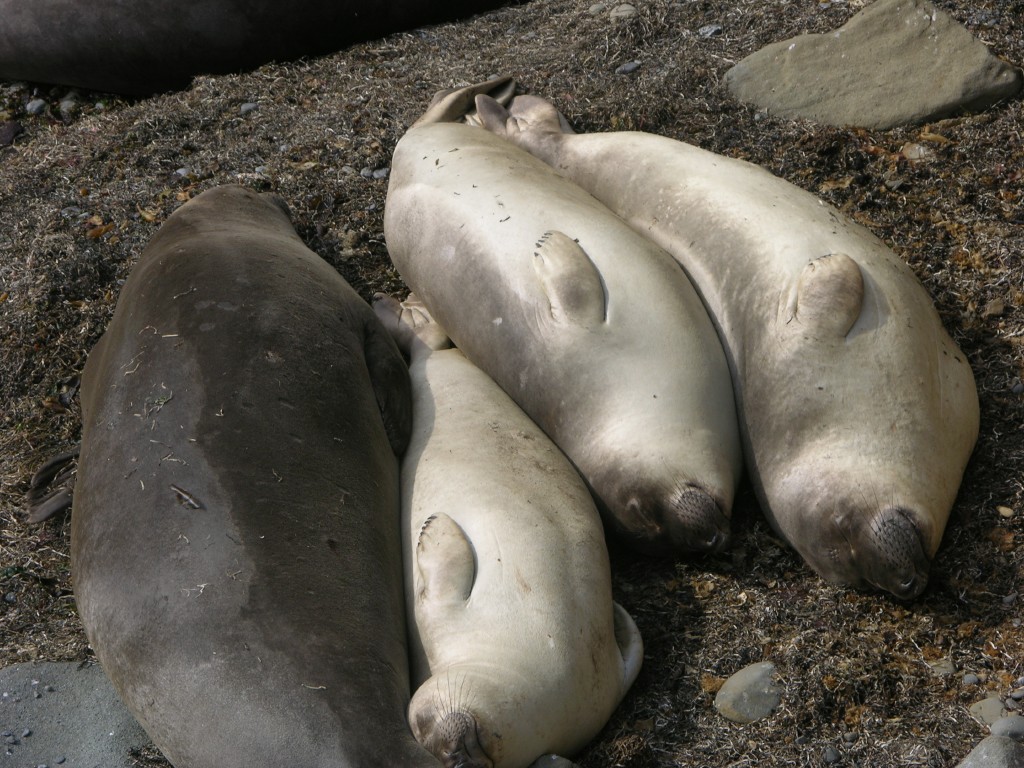 dscn2792.jpg