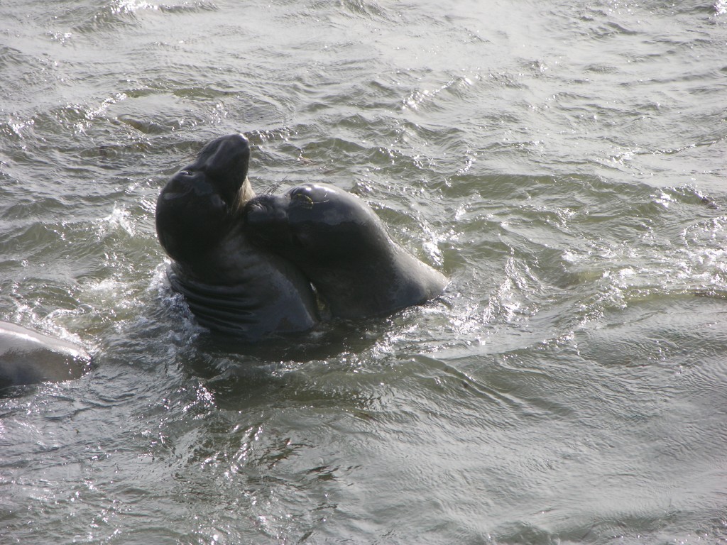 dscn2796.jpg
