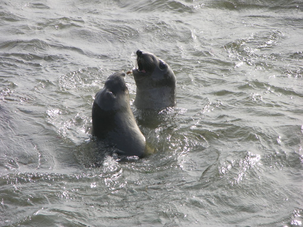 dscn2797.jpg