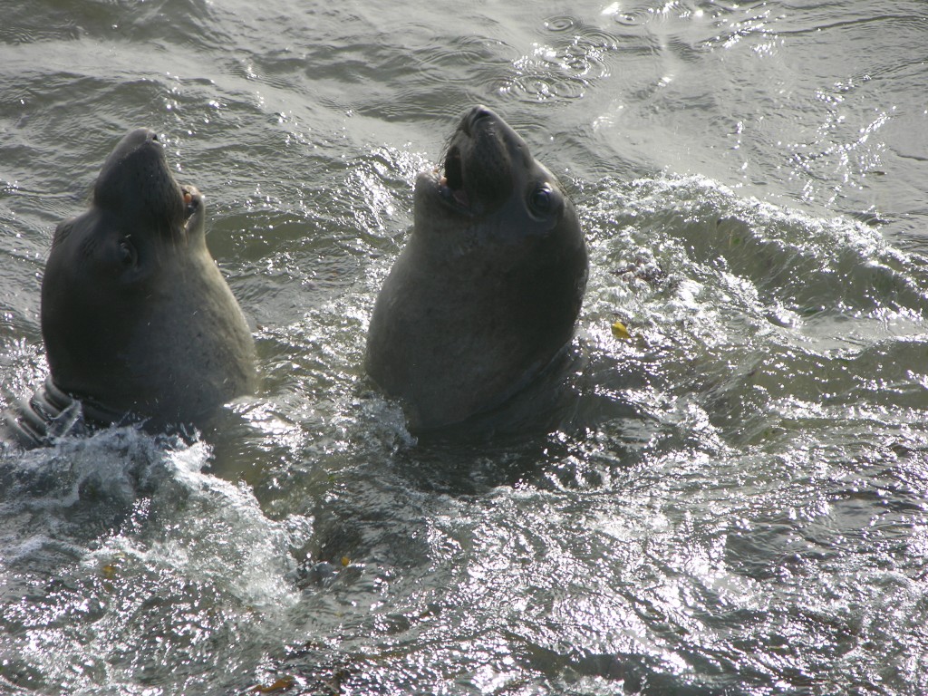 dscn2805.jpg