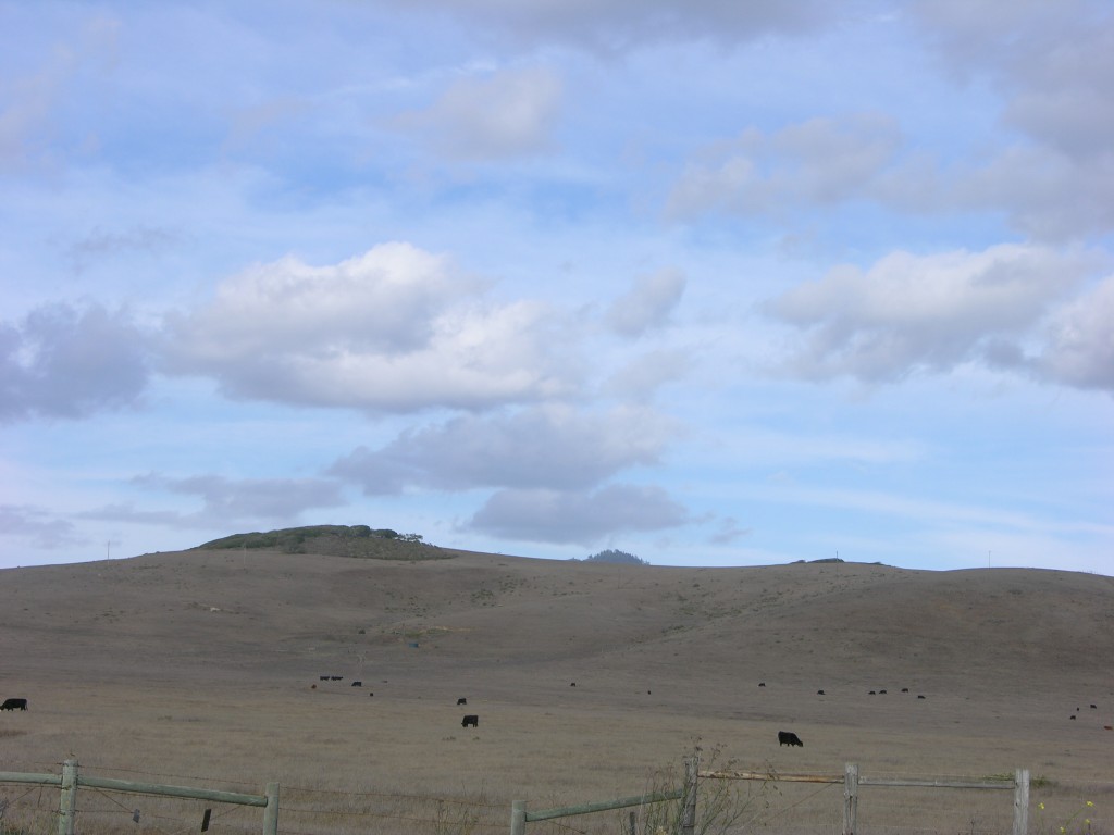 dscn2816.jpg
