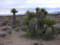 dscn2692.jpg