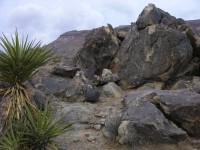 dscn2693.jpg
