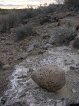dscn2695.jpg