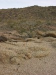 dscn2701.jpg