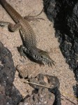 dscn2717.jpg