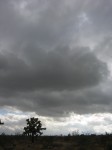 dscn2745.jpg