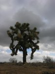 dscn2748.jpg