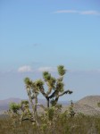 dscn2751.jpg