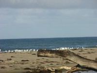dscn2755.jpg