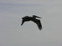 dscn2757.jpg