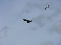 dscn2760.jpg