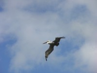 dscn2761.jpg