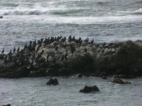 dscn2767.jpg