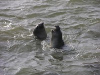 dscn2779.jpg