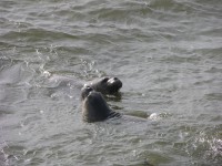 dscn2780.jpg