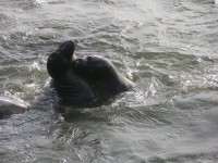 dscn2796.jpg