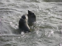 dscn2797.jpg