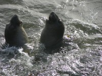 dscn2805.jpg