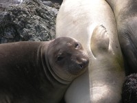 dscn2815.jpg