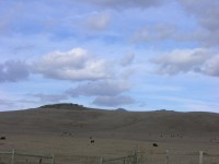 dscn2816.jpg