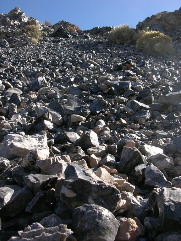 dscn2197.jpg