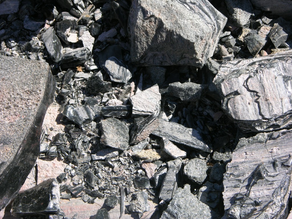 dscn2204.jpg