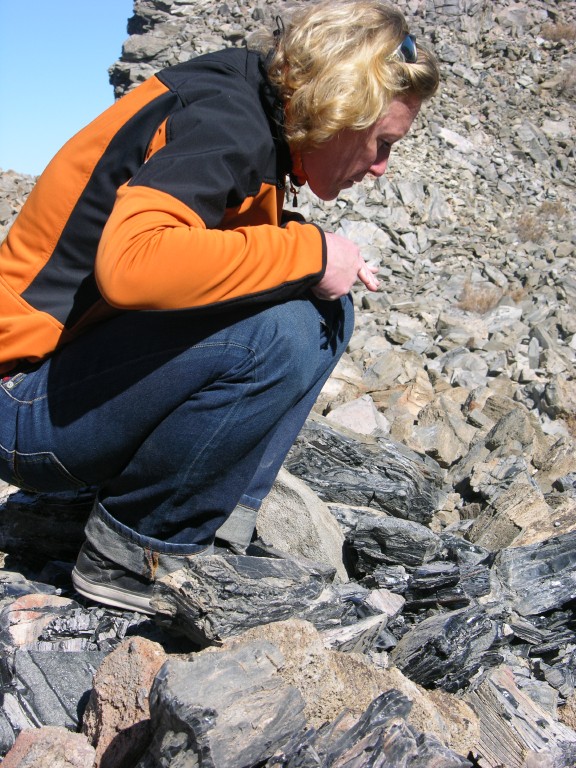 dscn2205.jpg