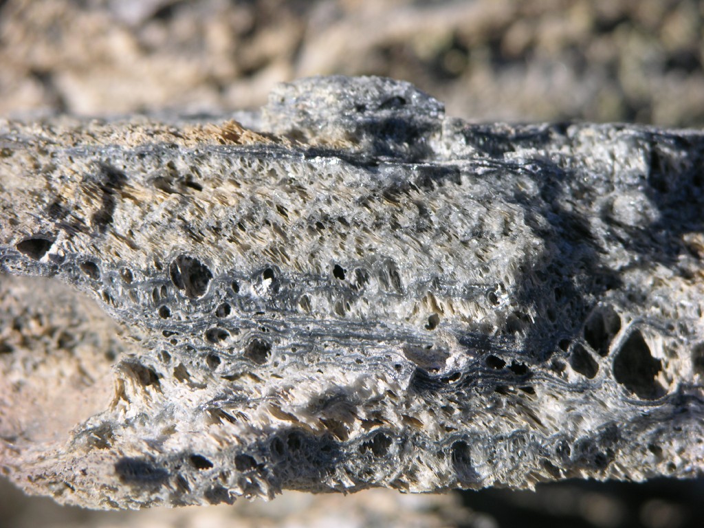 dscn2206.jpg