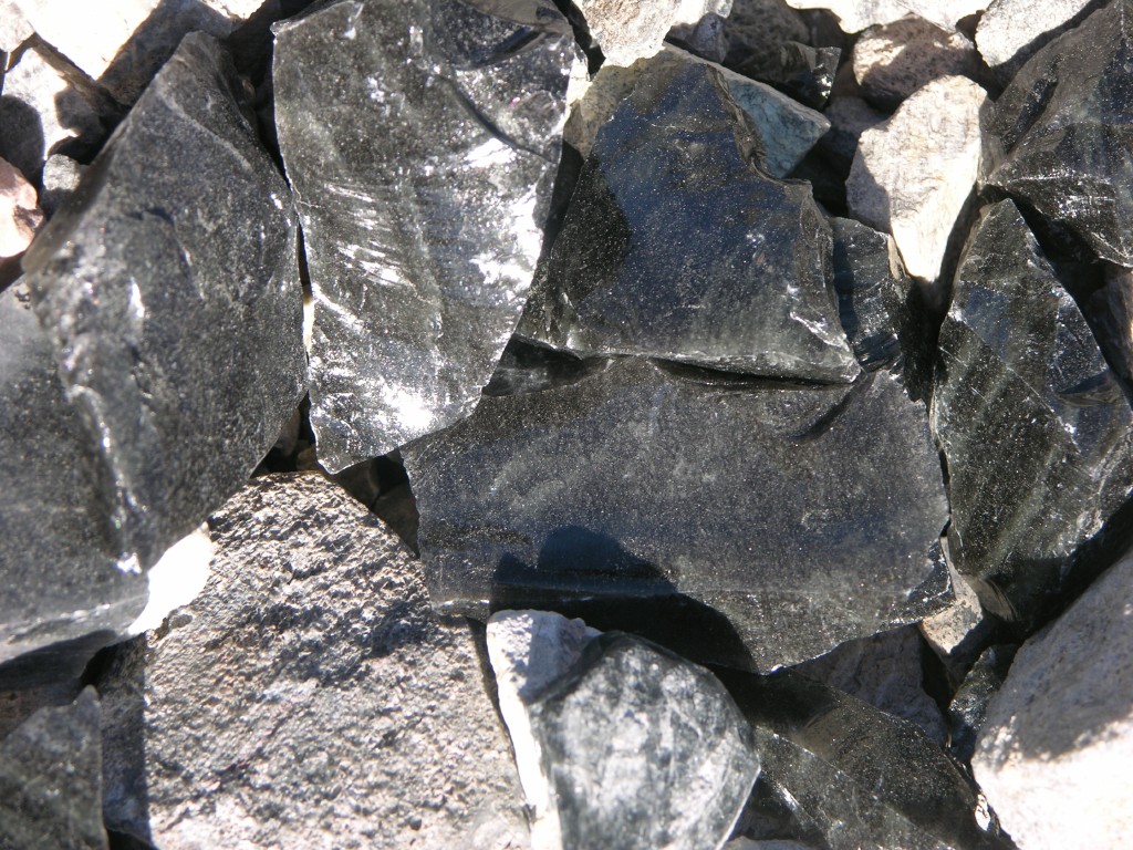 dscn2208.jpg