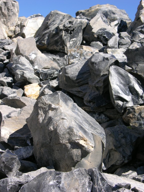 dscn2210.jpg