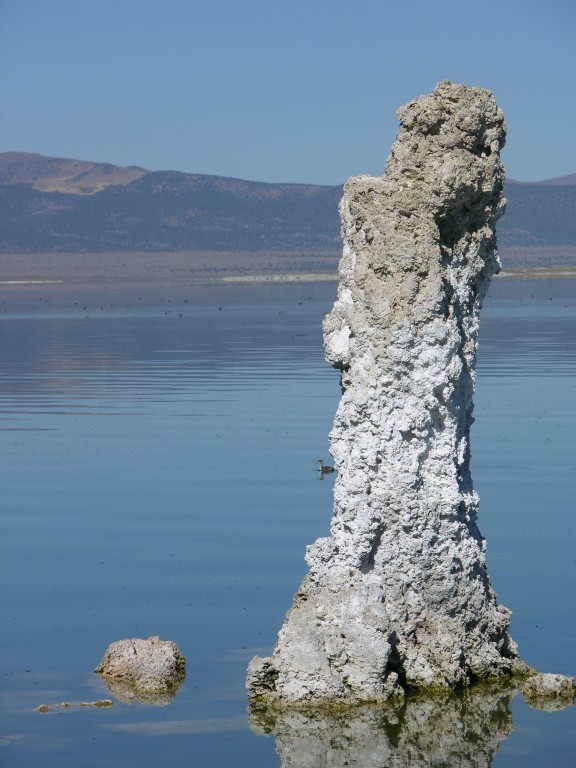 dscn2215.jpg