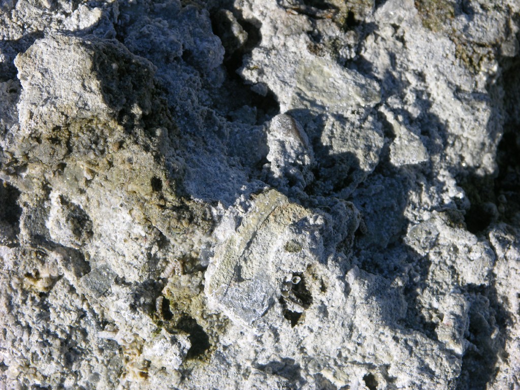 dscn2218.jpg