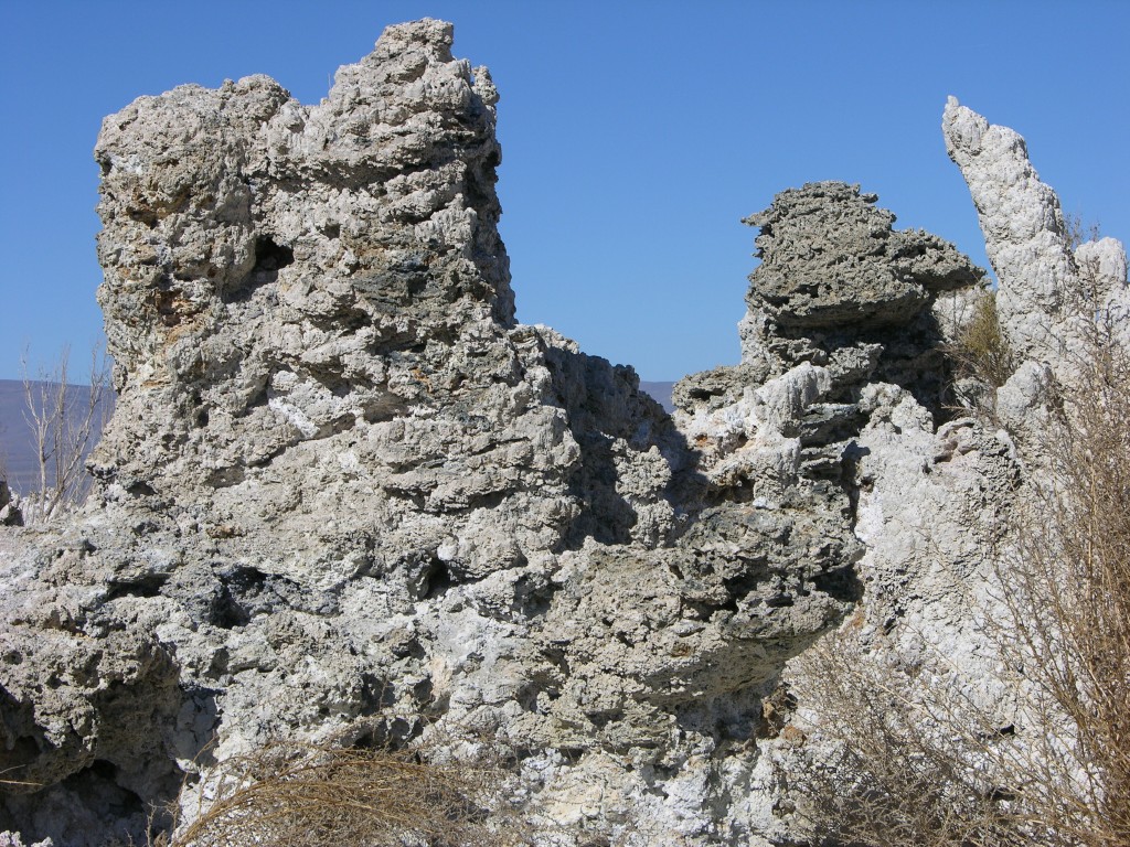 dscn2222.jpg
