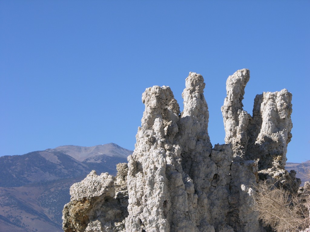 dscn2223.jpg