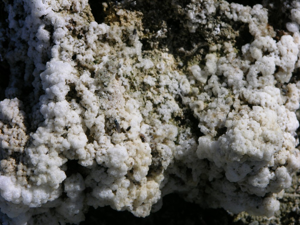 dscn2224.jpg