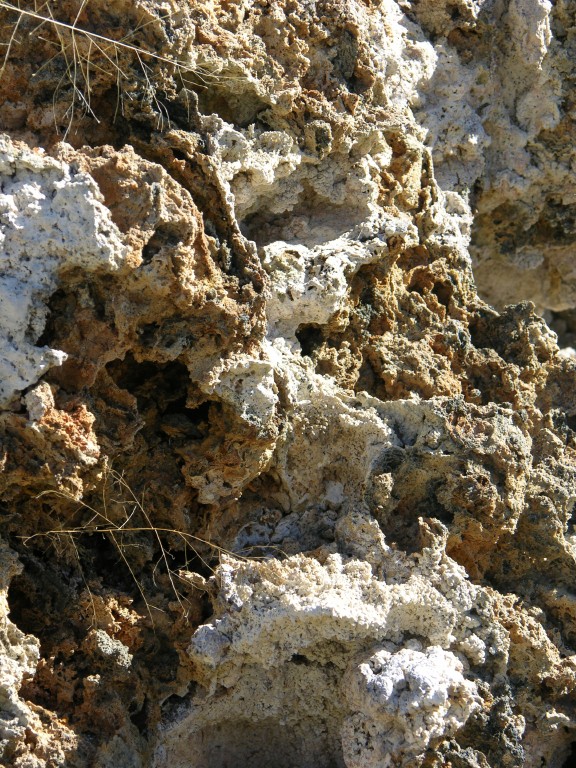 dscn2225.jpg