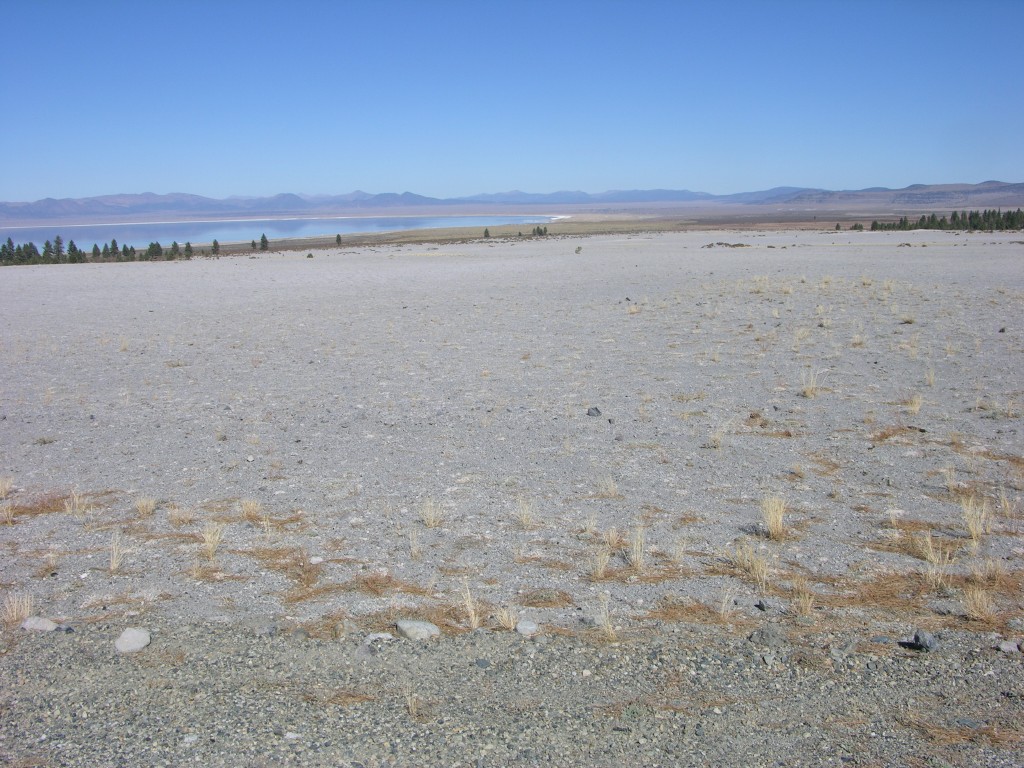 dscn2232.jpg