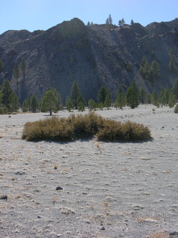 dscn2233.jpg