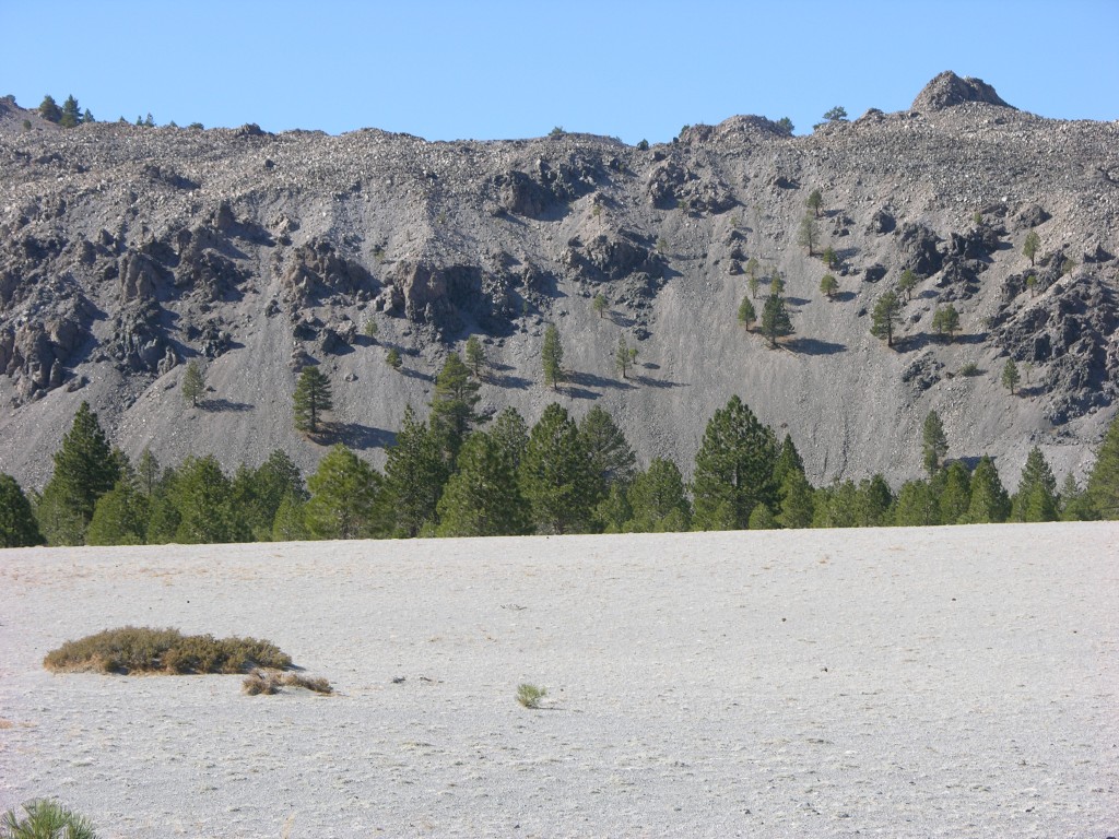 dscn2234.jpg