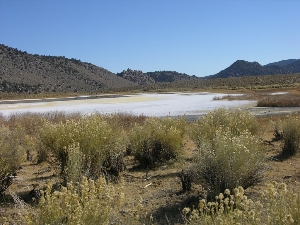 dscn2235.jpg
