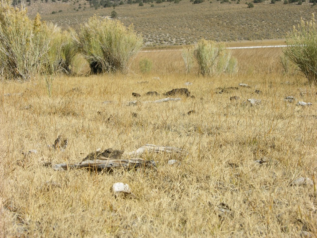 dscn2237.jpg